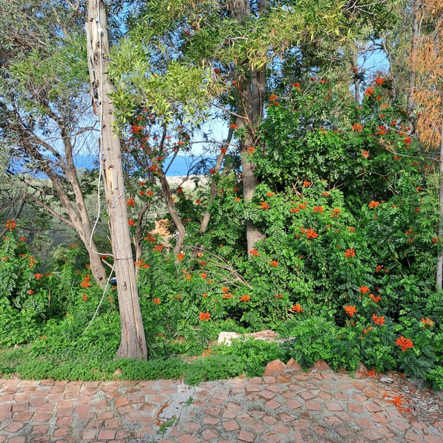 Villa Gatto Rometta Marea Exterior foto